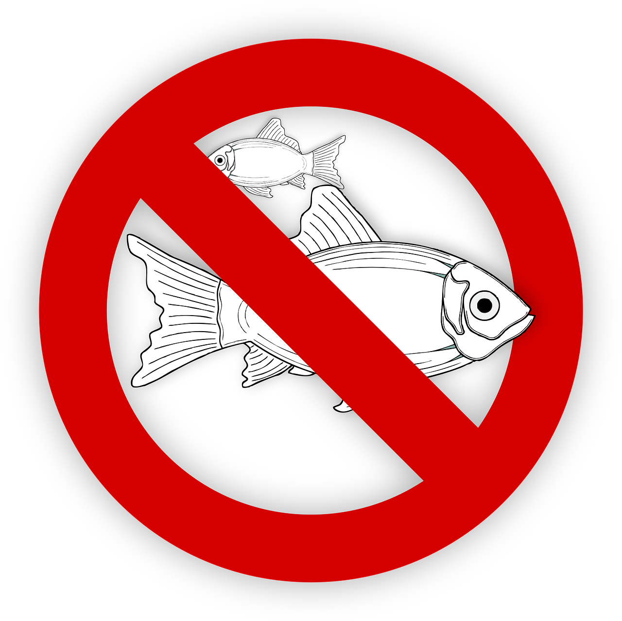 pixabay-995050-674.png